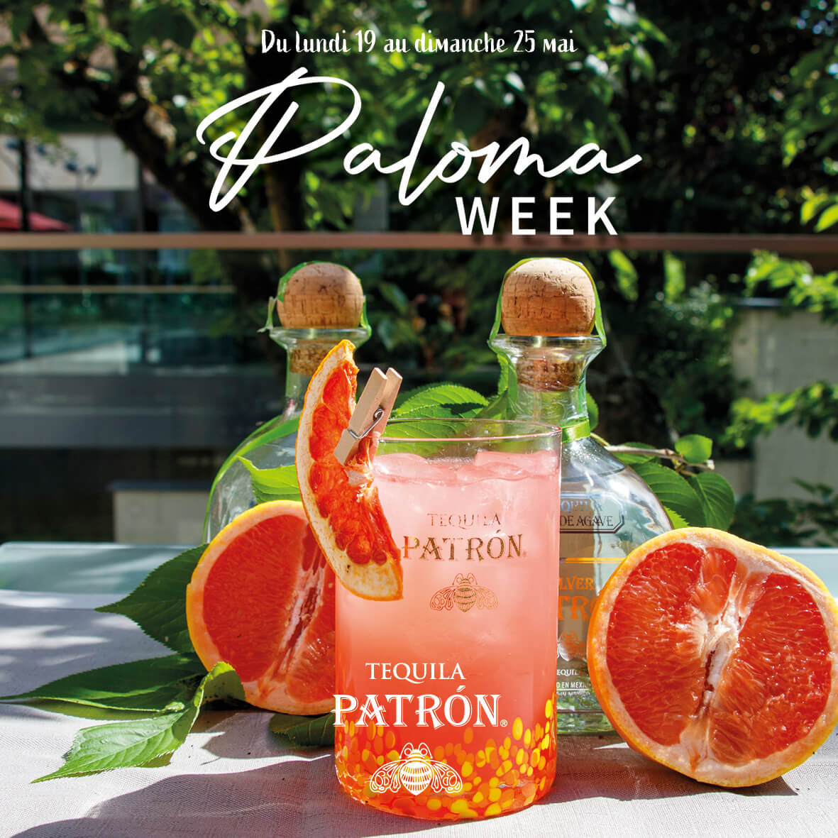 La Paloma Week revient au Piano Bar ! 
